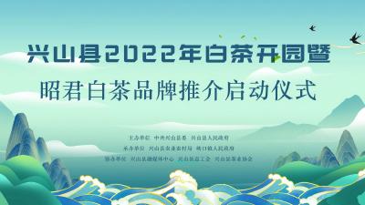 直播丨兴山县2022年白茶开园暨昭君白茶品牌推介启动仪式