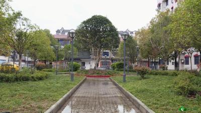 【清违进行时】凤吟苑小区：曾经“脏乱差”  如今“净畅美” 