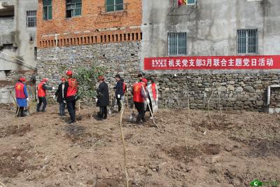 【生态远安】河口乡：种植绿色希望  收获绚烂明天