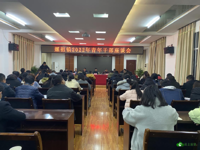 砥砺奋进破险阻  担当有为绽芳华——嫘祖镇召开青年干部座谈会