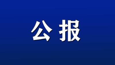 远安县第三次国土调查主要数据公报