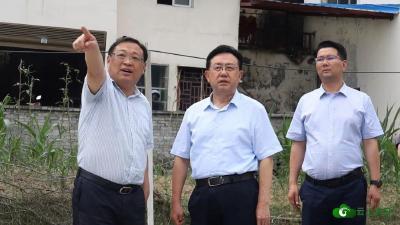 【下基层 察民情 解民忧 暖民心】王国斌到远安走访调研 帮市场主体排忧 为人民群众解难