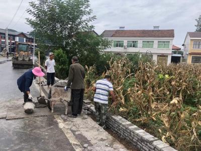 洋坪村：党建引领、干群连心  共同缔造优美人居环境