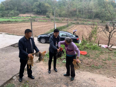 洋坪镇：慰问脱贫户 情暖百姓心