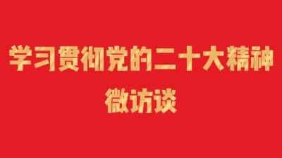 【深入学习贯彻党的二十大精神】微访谈——专访花林寺镇党委书记沈贤辉