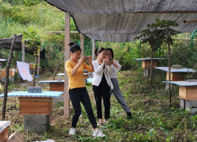 河口乡：人大代表电商助农