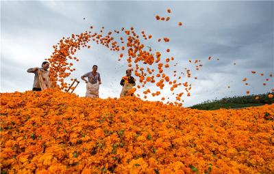 【成就宣传】这份成绩单，来之不易！