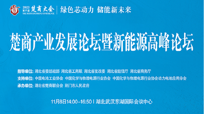 直播丨 楚商产业发展论坛暨新能源高峰论坛