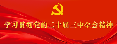 进一步全面深化改革的总目标（学习贯彻党的二十届三中全会精神）