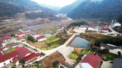 【爱岗敬业作奉献 奋发有为当先锋⑥】王运红：矿区旧貌换新颜 绿色产业谱新篇