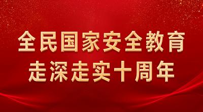 习近平法治思想的核心要义