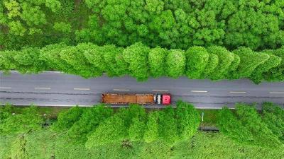 S224保当线：夏日绿野中的清凉诗行