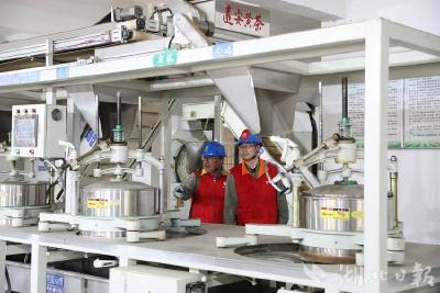 【学习强国】远安：电力护航春茶飘香