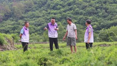 【定点帮扶心连心】三峡职院驻村工作队：人才赋能产业兴 校村共绘振兴图