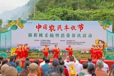 【和美远安·丰收季】又是一年丰收时，果香漫白云！