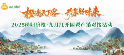 直播丨“橙邀天下客 共享好味来”2025秭归脐橙·九月红开园暨产销对接活动