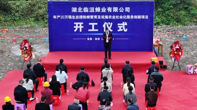 【和美远安】旧县：小蜜蜂撬动乡村振兴大产业