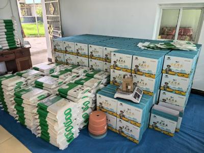 【和美远安】洋坪镇：培育本土品牌 赋能产业发展