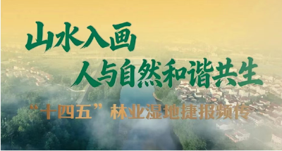 【奋进远安·“十四五”成绩单】山水入画，人与自然和谐共生