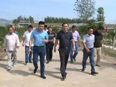 刘斌检查督办长江沿线“雷霆行动”推进工作