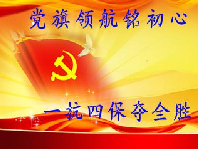 “党旗领航”主题党日活动