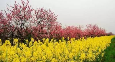 【旅游文化】家乡四季