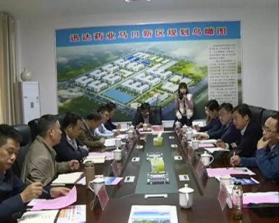 省金融办调研组来武穴市迅达药业调研上市工作