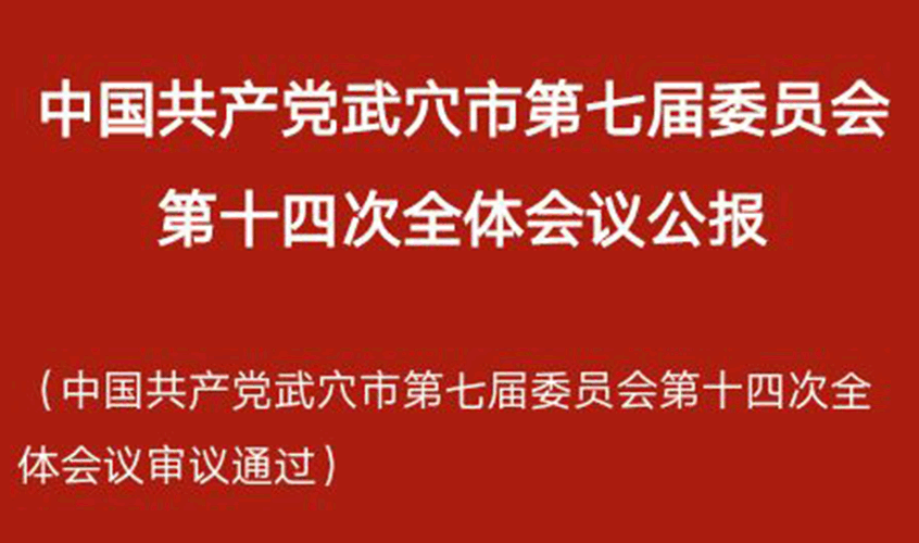 中國共產黨武穴市第七屆委員會第十四次全體會議公報