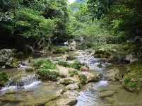 美麗武穴 | 文建華：神奇的余川龍門沖著龍潭