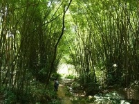 美麗武穴 | 文建華：神奇的余川龍門沖著龍潭