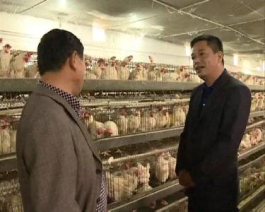 助力精准扶贫 | 武穴农商行当好农村金融主力军