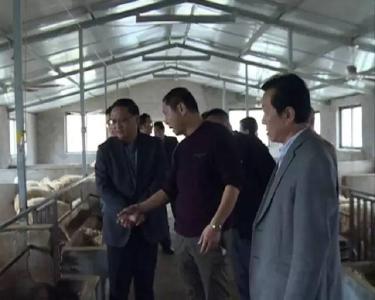 刘斌调研湖羊养殖扶贫产业发展