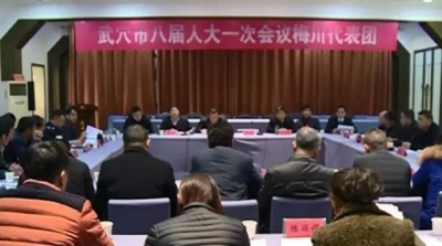 人大代表分团审议“一府两院”和人大常委会工作报告