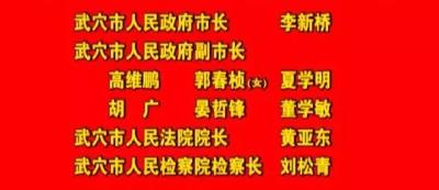 武穴市第八屆人民代表大會第一次會議選舉結果