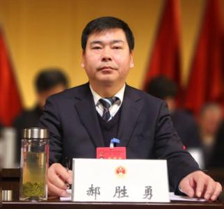 武穴市第八届人民代表大会第一次会议举行第二次大会