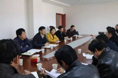 省楚天视讯网络有限公司董事长董虎成来武穴市调研