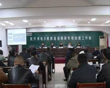 武穴市全面启动电力线路通道障碍治理行动
