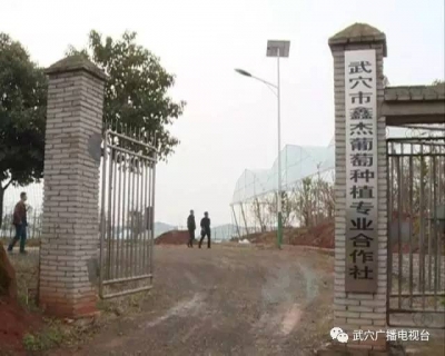 石佛寺镇政府牵线作“红娘” 银企对接获“三赢”