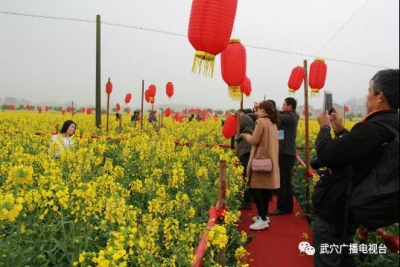 武穴市广播电视台首档体验式旅游节目《畅游武穴》之《相约花海》明晚首播