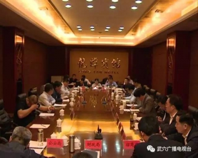 武穴市未来一段时间最大的经济增长点就是这个“小镇”……