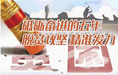 五年来这件头等大事改变了6600万中国人的命运