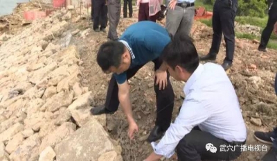 市长李新桥检查水利“三大项目”建设情况：全力支持、优化服务、加快推进，解决水患为老百姓造福