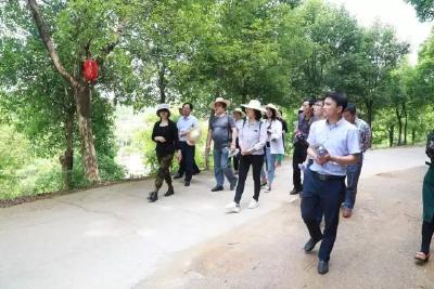 全国15家重点网络媒体组团来武穴报道了一件事