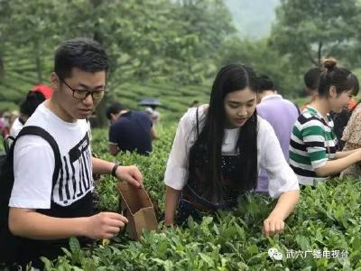 武穴茶旅融合激发全域旅游活力 绿水青山“变身”金山银山