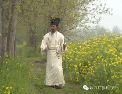 还记得去年来武穴的苏东坡吗？明晚，他将登陆央视与我们见面⋯⋯