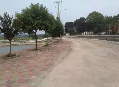 常态保洁怎么搞? 洁净村庄咋维持?梅川饶为市村给出了答案是……
