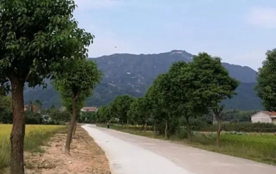农村垃圾怎么治理？绿林村有一套独特的解决方法……