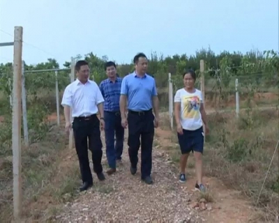 市长李新桥调研产业扶贫基地，现场协调解决困难和问题