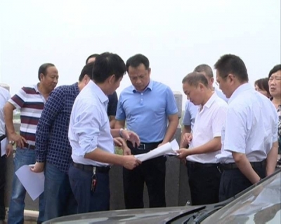 喜迎十九大•港城新作为｜市长李新桥检查督办“三大项目”建设 现场协调解决突出问题