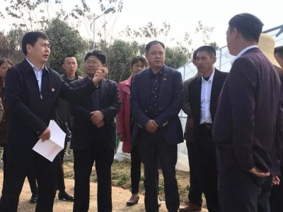 宣讲接地气 百姓听得懂｜市委书记郝胜勇到梅川镇李兴泗村田间地头宣讲十九大